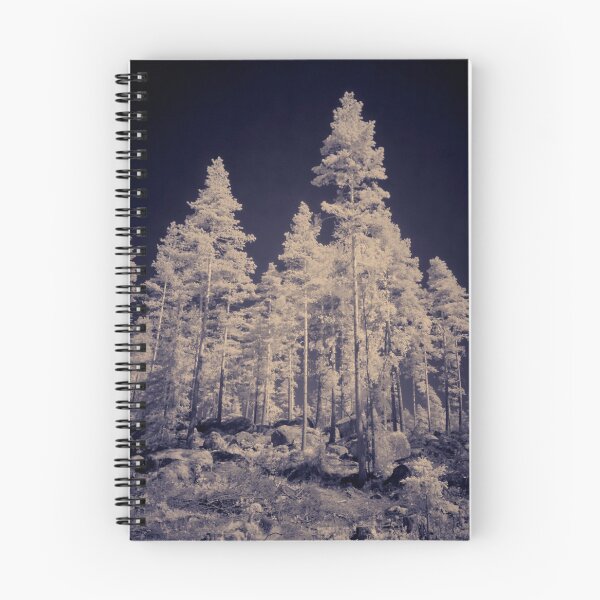 Item preview, Pines standing tall. IR-photography designed and sold by Jouko Lehto Photography.