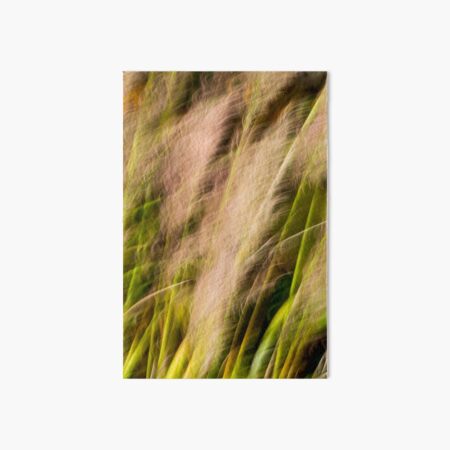 Pampas Grass Abstract Blur Art Board Print