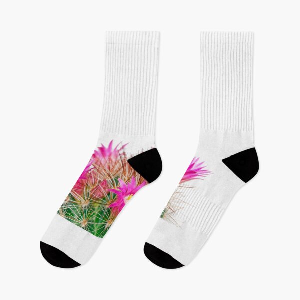 Item preview, Blooming cactus mammillaria designed and sold by KatyaLin.