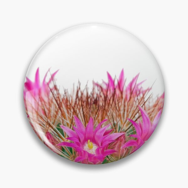 Item preview, Blooming cactus mammillaria designed and sold by KatyaLin.