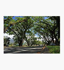 MCC Mossman Streetscape Photographic Print