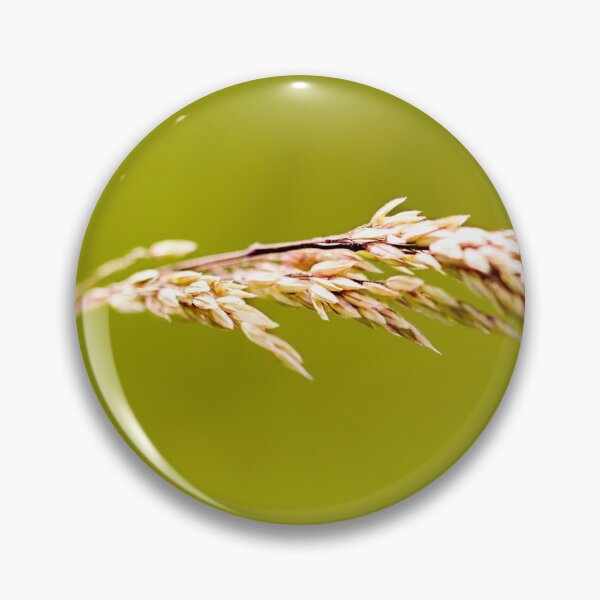 Item preview, Yorkshire Fog Grass designed and sold by FOLK ART FUSION by heidiannemorris.