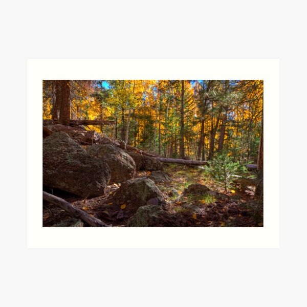 Deep in the Forest Art Print