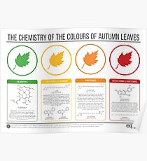 Autumn Leaves Chemistry Poster