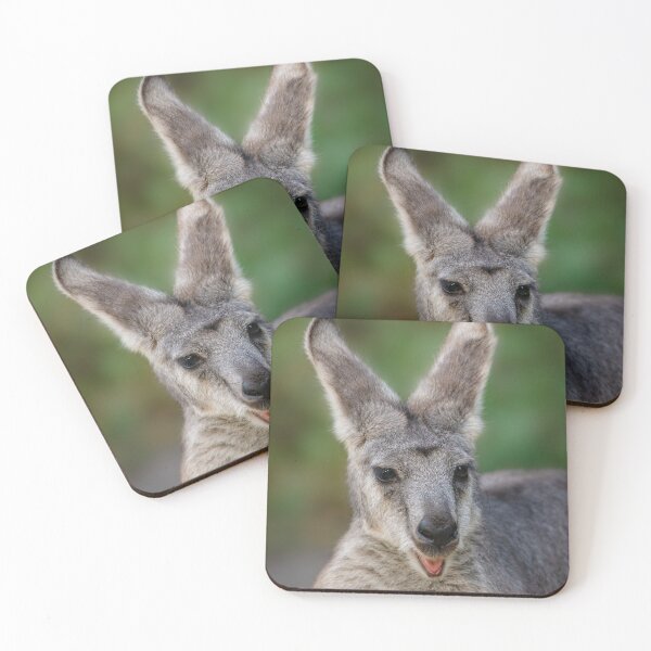 Item preview, Happy Kangaroo designed and sold by rawshutterbug.