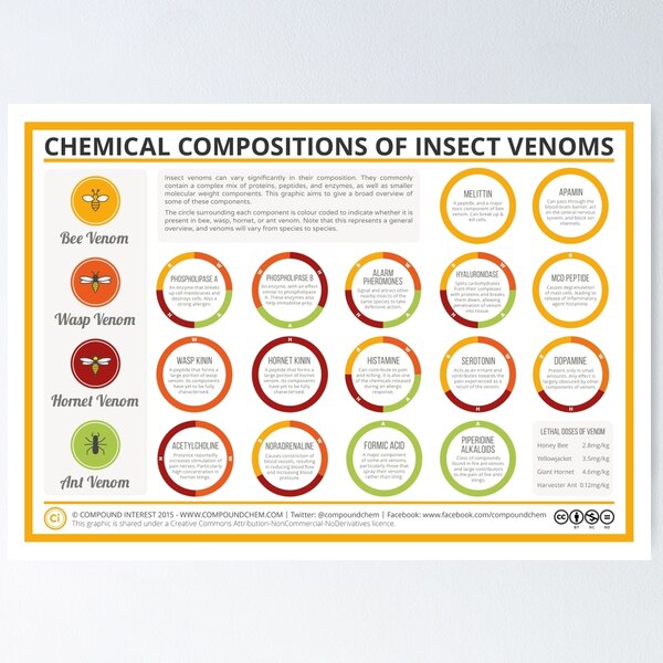 Item preview, The Chemical Compositions of Insect Venoms designed and sold by compoundchem.