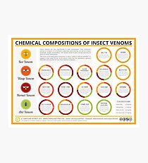 The Chemical Compositions of Insect Venoms Photographic Print