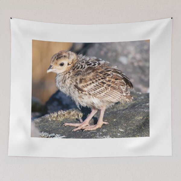 Item preview,  pheasant designed and sold by tammy mellor.