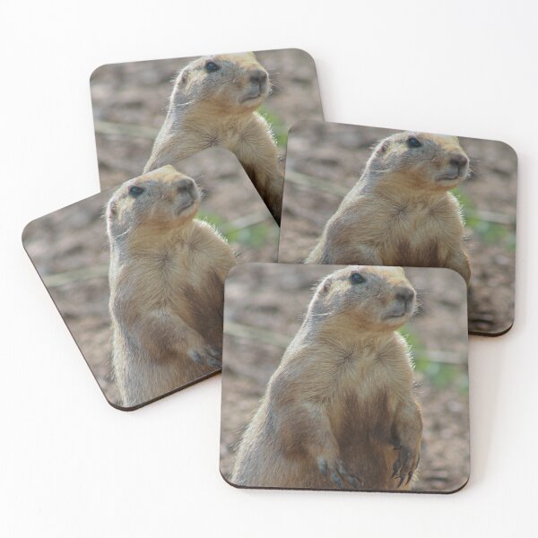 Item preview, Black tailed prairie dog  designed and sold by KcsArt87.