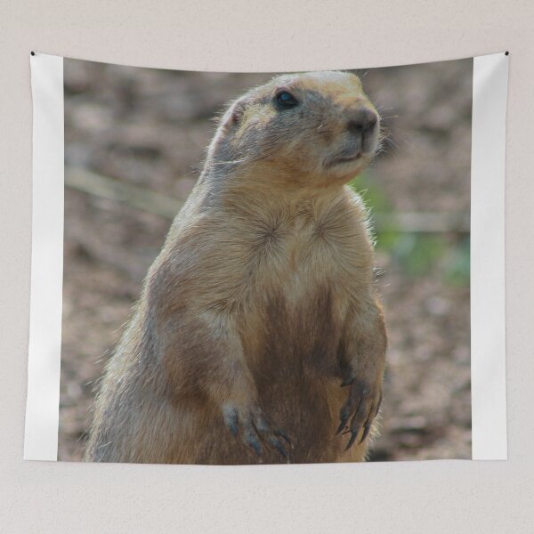 Item preview, Black tailed prairie dog  designed and sold by KcsArt87.
