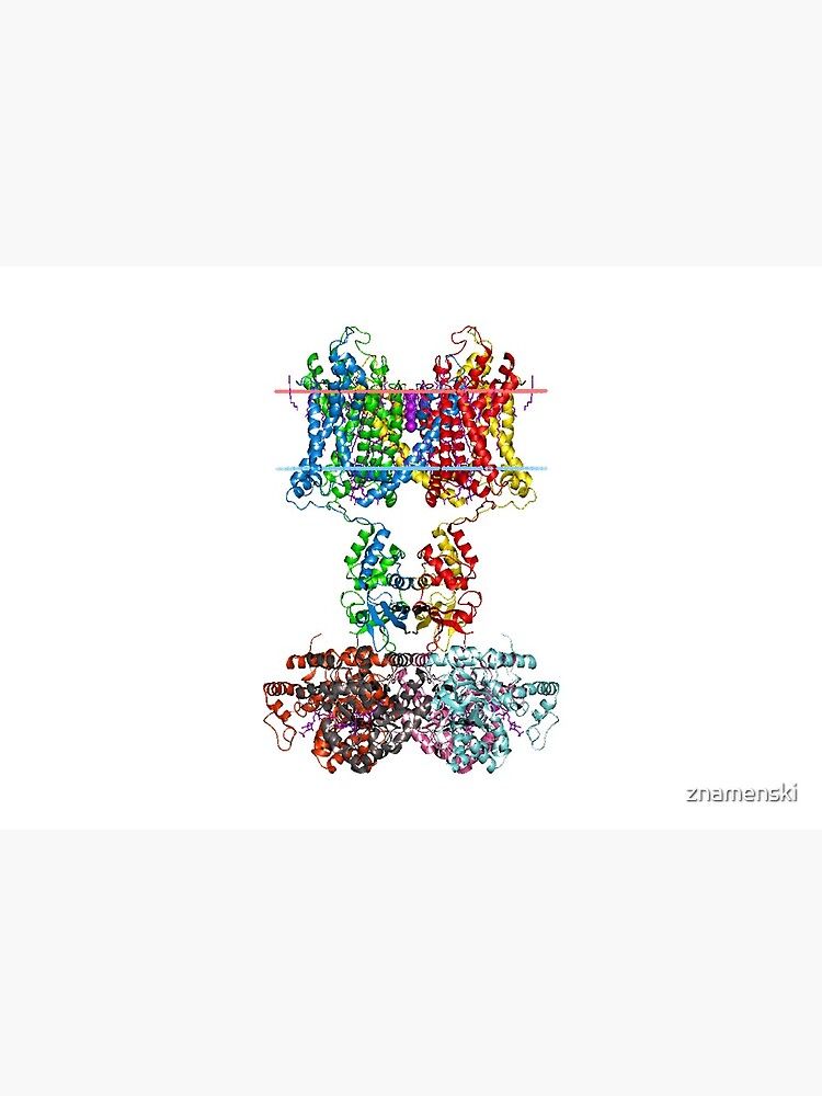 Molecular Structure of Ion Channels by znamenski
