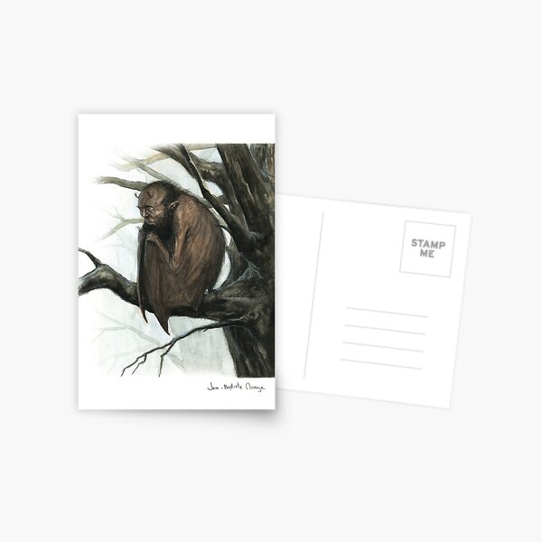Bat Man Postcard