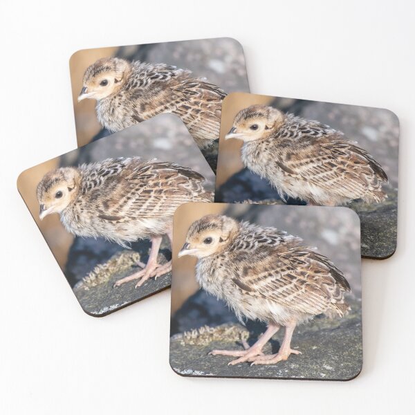 Item preview,  pheasant designed and sold by tammy mellor.