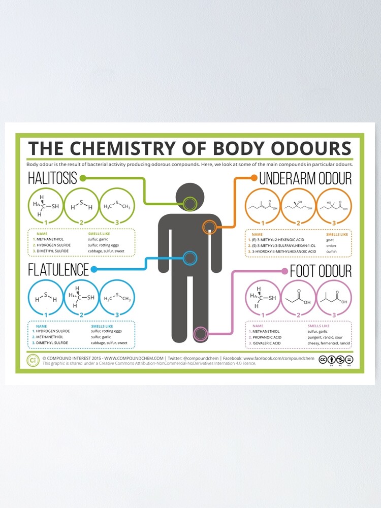 Alternate view of The Chemistry of Body Odours Poster