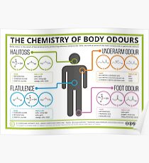 The Chemistry of Body Odours Poster