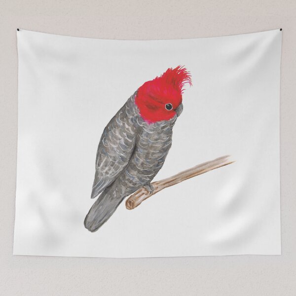 Item preview, Gang gang cockatoo designed and sold by Bwiselizzy.