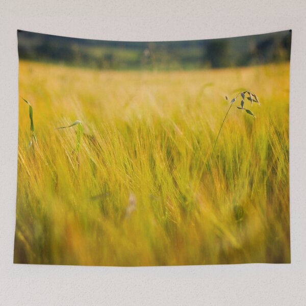 Item preview, Among the fields of Barley designed and sold by FOLK ART FUSION by heidiannemorris.