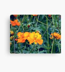 Flowers Canvas Print