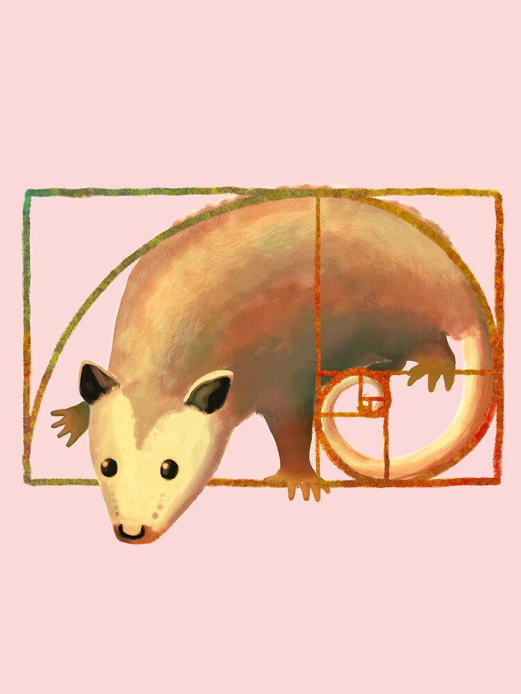 Fibonacci spiral possum (version II) Kids T-Shirt for Sale by ELMayer