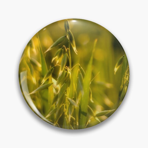 Item preview, Golden Oats at Sunset designed and sold by FOLK ART FUSION by heidiannemorris.