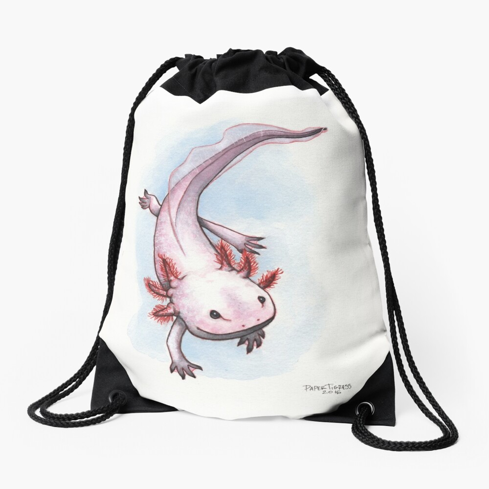 axolotl blind bag squishmallow