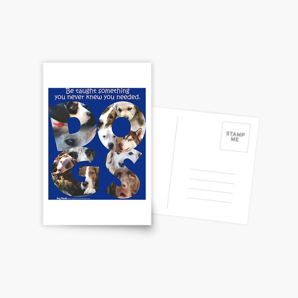 Dogs Can Teach Postcard