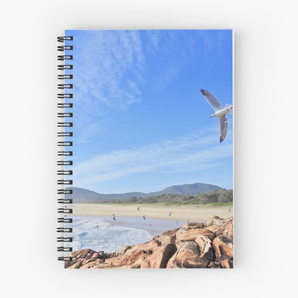 Item preview, Seagulls over Main Beach designed and sold by powell-Imagery.