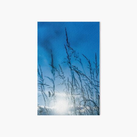 Blue in the afternoon Art Board Print