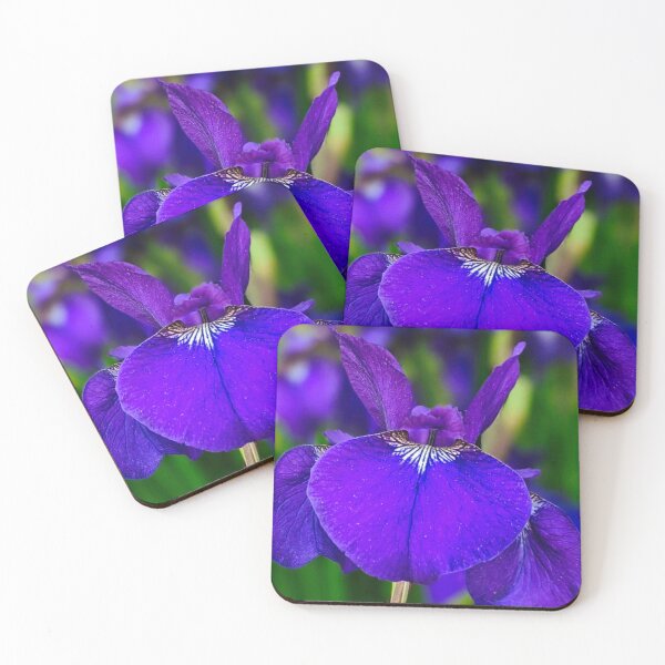Item preview, Blue lobelia Art designed and sold by BritishYank.