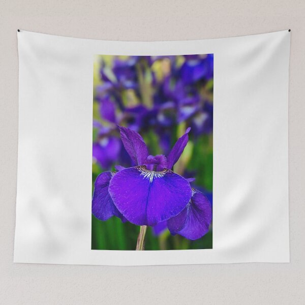 Item preview, Blue lobelia Art designed and sold by BritishYank.