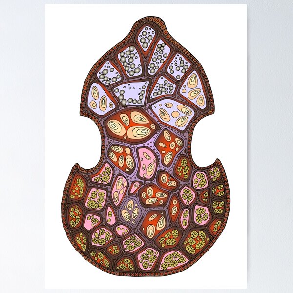 Item preview, Contrabass designed and sold by Paulina Dabrowska-Dorozynska.
