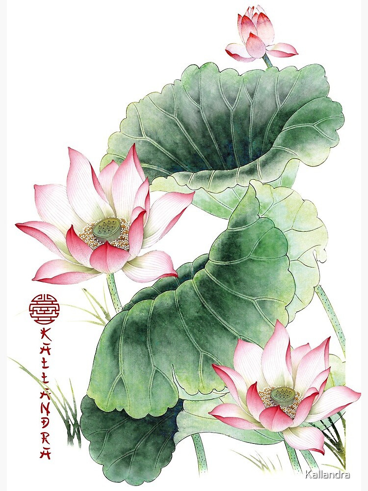 How To Draw Lotus Flowers | Step By Step Guide | Drawing Freak