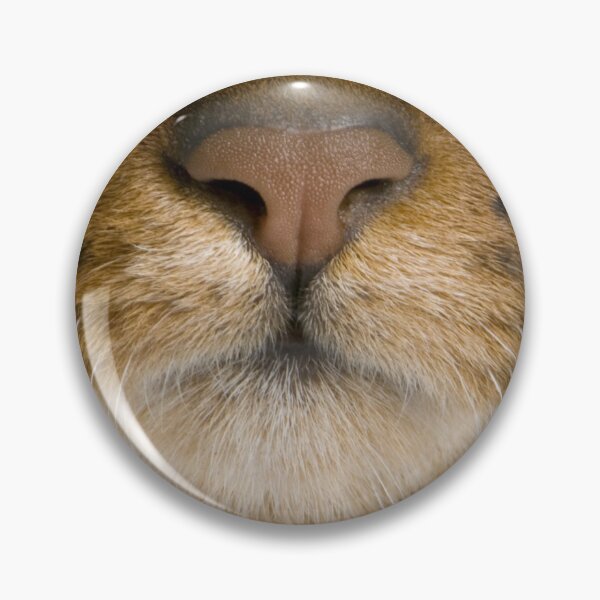 Item preview, Abyssinian Cat designed and sold by graphicmeyou.
