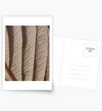 Straight lines Postcards