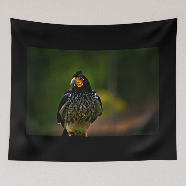 Item preview, Tarqui Zoological Raptor designed and sold by alabca.