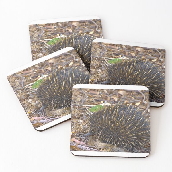 Item preview, Echidnas An Echidna In The Scrub - Landscape designed and sold by Jason Gilbert.