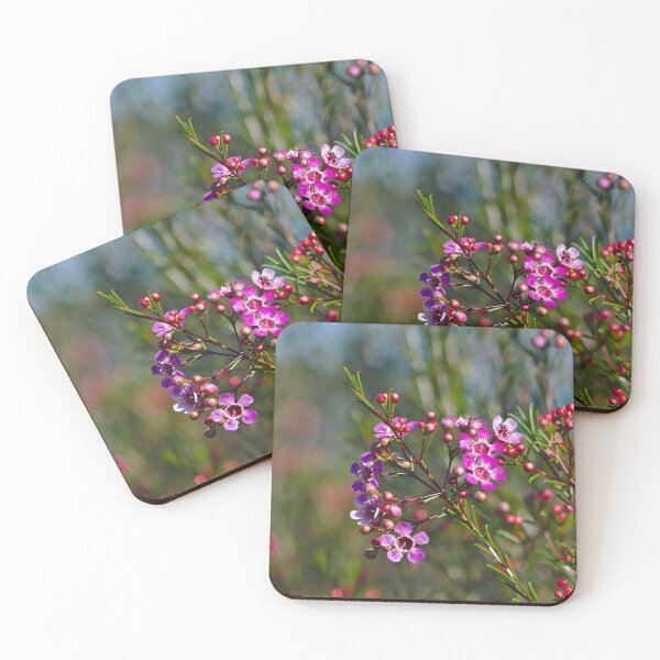 Item preview, Flowers A Bright Purple Geraldton Wax Flower - Square designed and sold by Jason Gilbert.