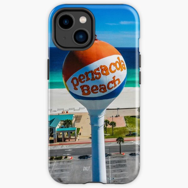 Osprey Perched on Beach Ball iPhone Tough Case