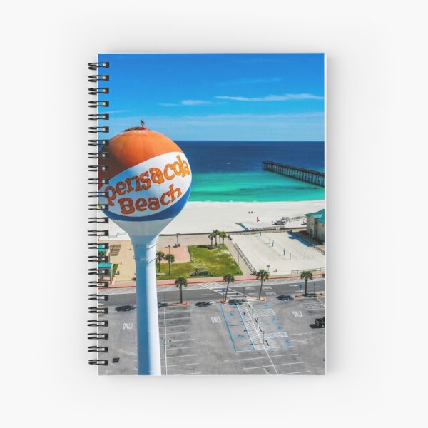 Osprey Perched on Beach Ball Spiral Notebook