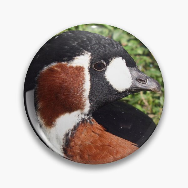 Item preview, Brown duck lying designed and sold by Grégory DUBUS.