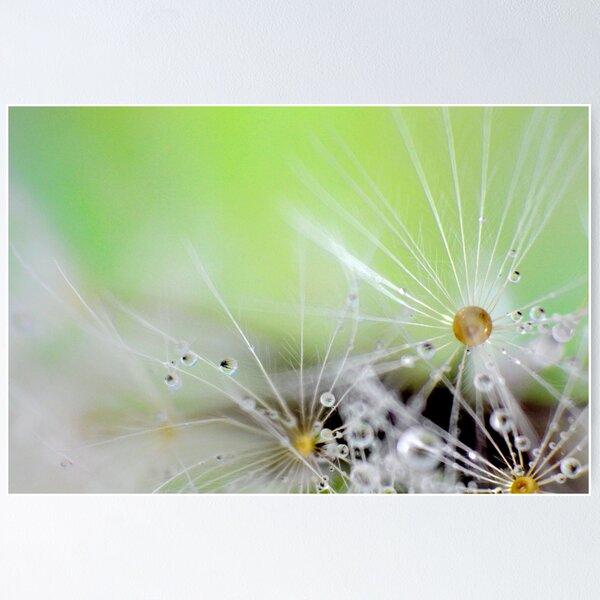 Item preview, Dandelion Raindrops designed and sold by Kathie Nichols.