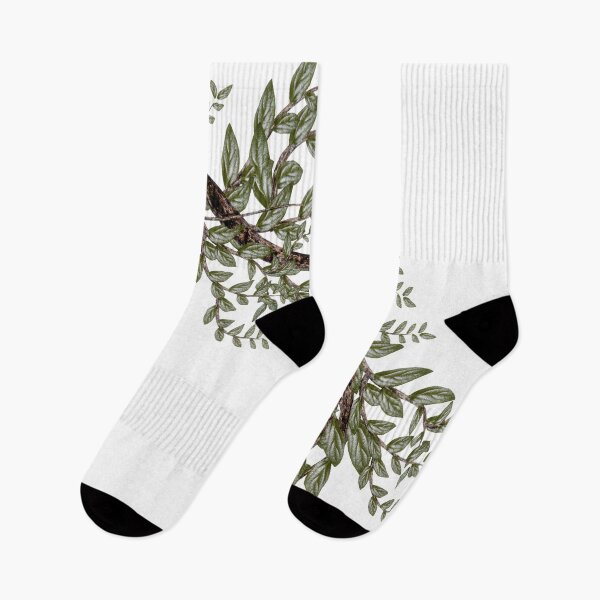 Item preview, Chinese art print - hanging branch & green leaves designed and sold by Kallandra.
