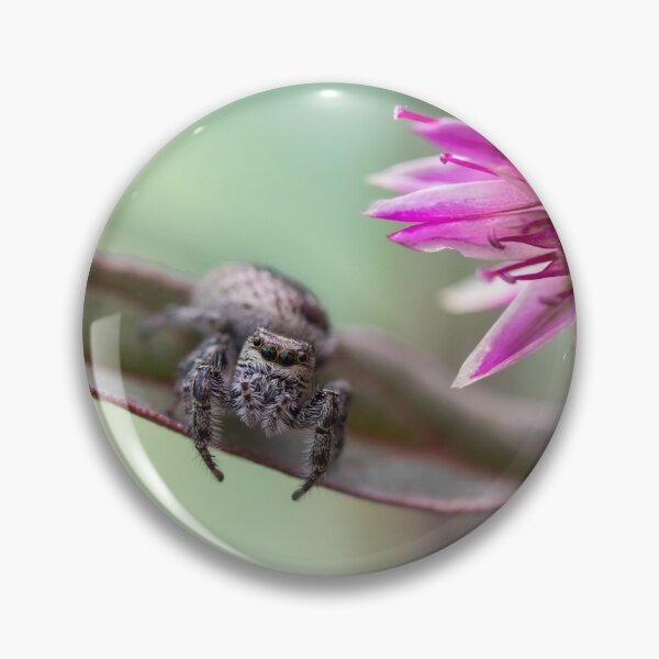 Item preview, Jumping Spider on pink Celosia flower in garden macro selective focus shallow DOF designed and sold by Rabbitti.