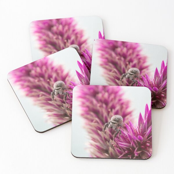 Item preview, Jumping Spider on pink Celosia flower in garden macro closeup designed and sold by Rabbitti.