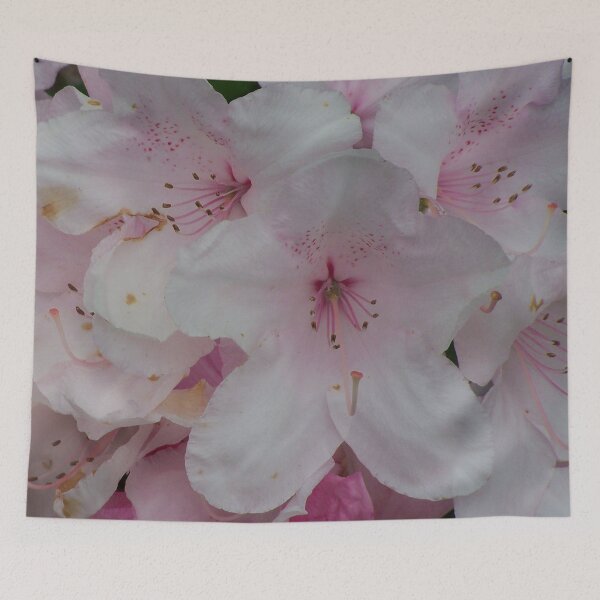 Item preview, Magic flowers in pastel designed and sold by Boscastle.