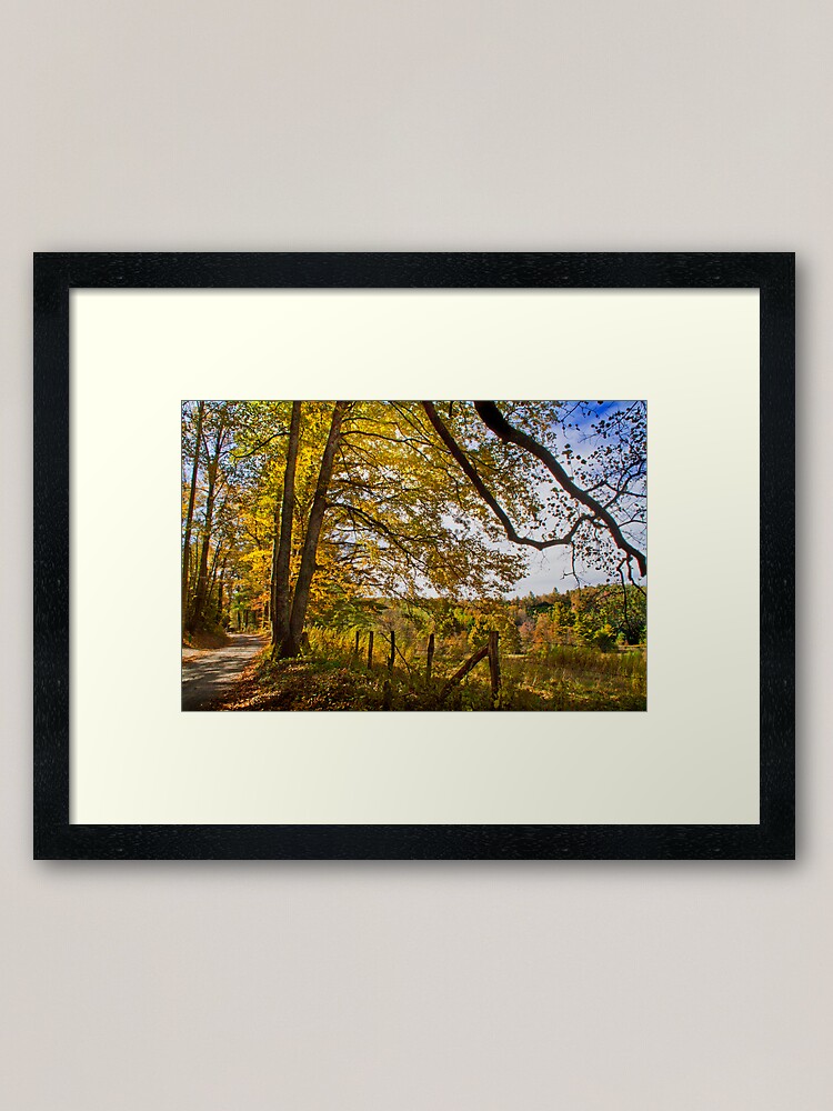 Alternate view of Down a Country Road Framed Art Print