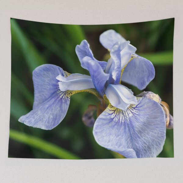 Item preview, Blue Iris flower head designed and sold by lena-maximova.