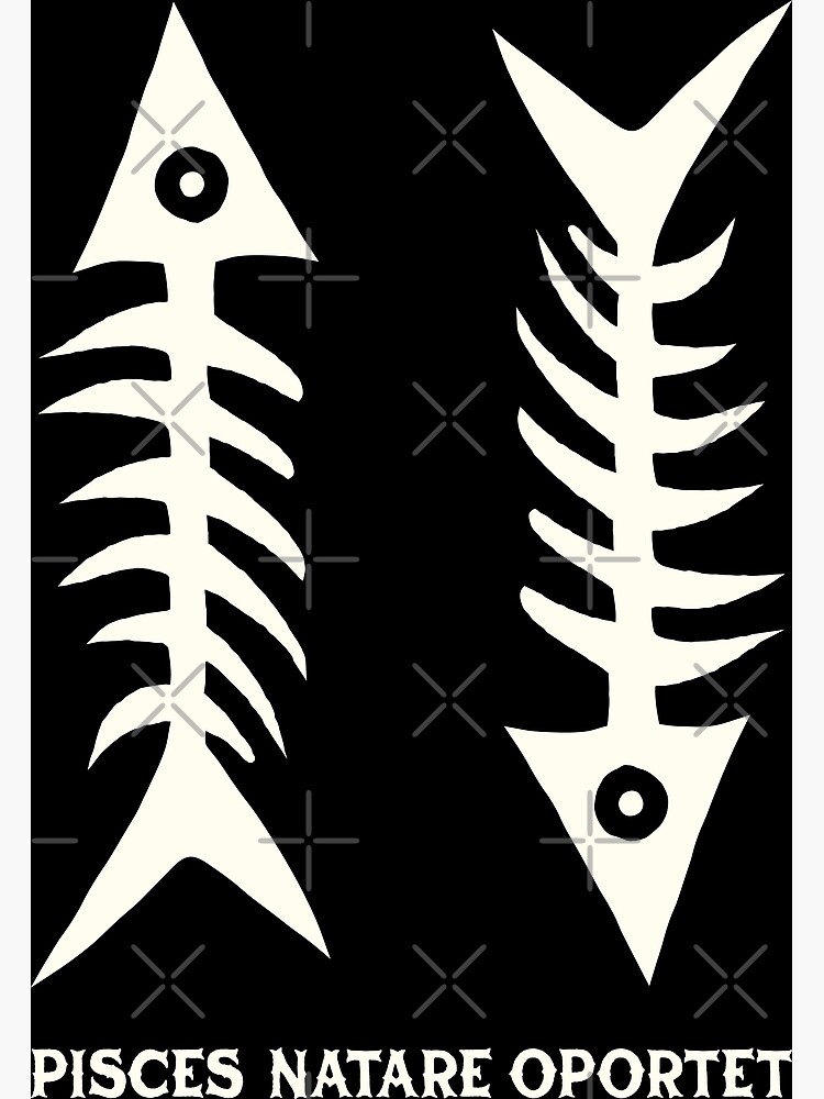 "Fish Bones Traditional Skeleton Tattoo " Photographic Print for Sale