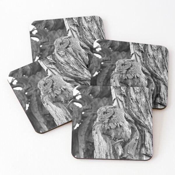 Item preview, Stoic in camo designed and sold by locustgirl.