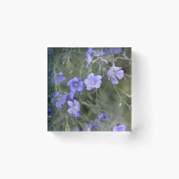 Item preview, Purple linum meadow flower blossom designed and sold by EstelleRossetti.
